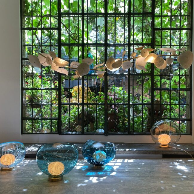 WhatsApp Image 2024-05-24 at 17.13.40